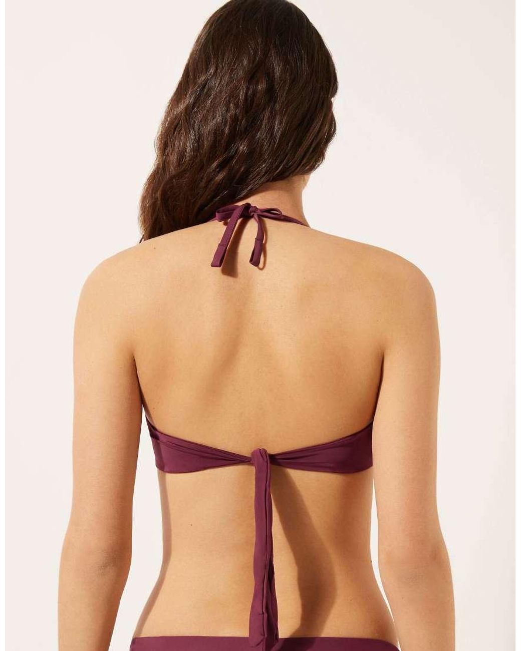 Calzedonia Purple Indonesia