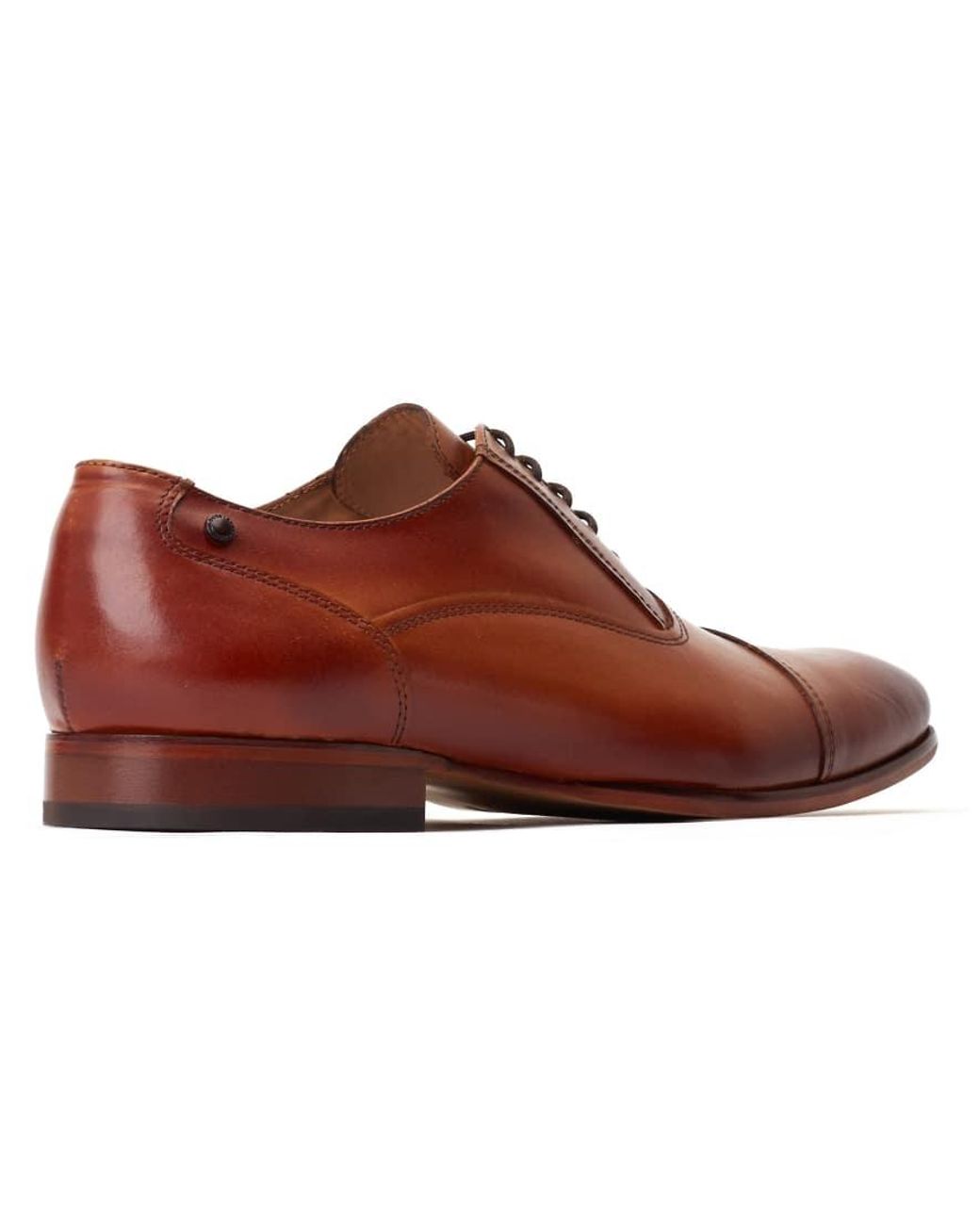 Base London Brown Angelo Derby for men