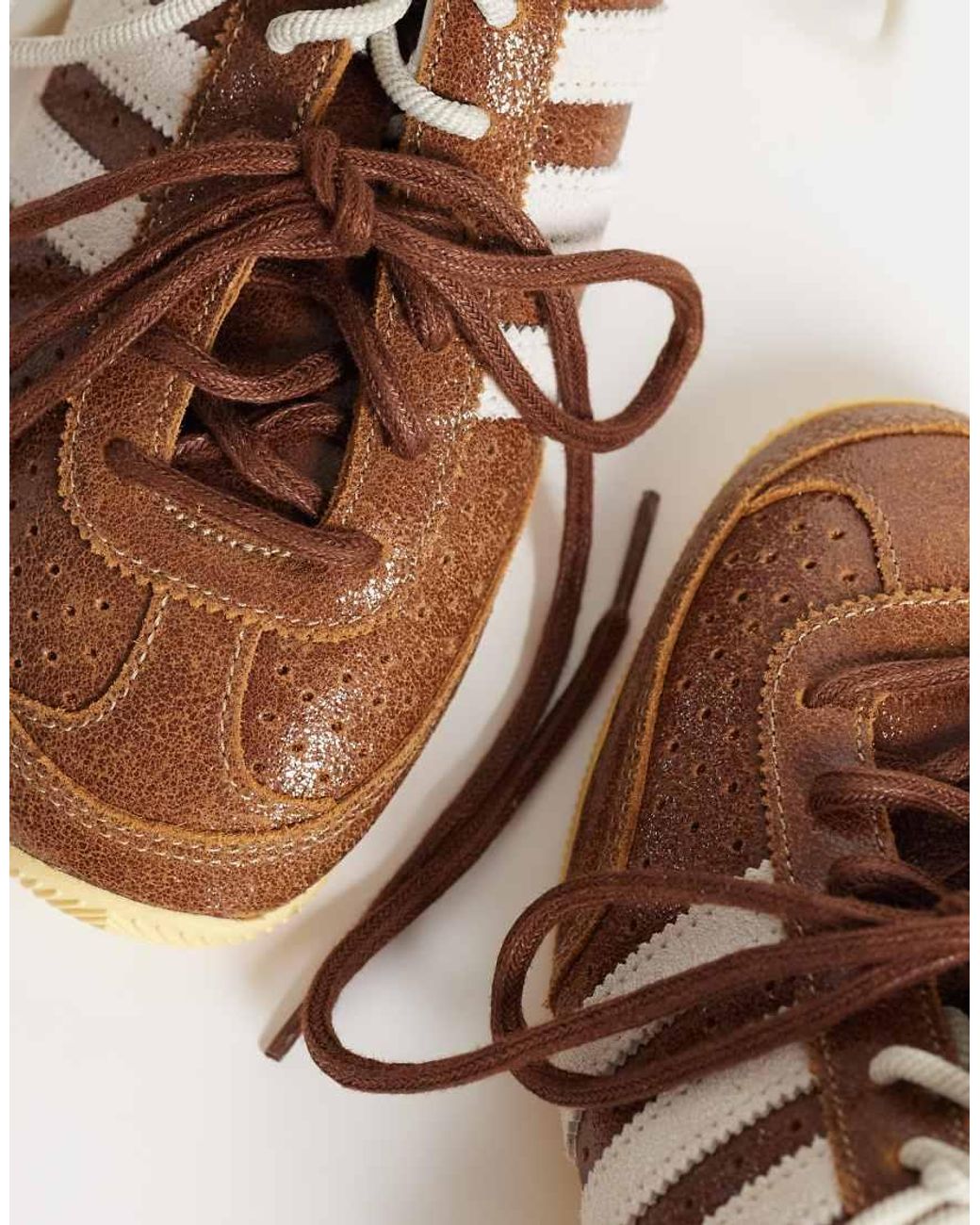 Adidas Originals Brown Japan Trainers for men