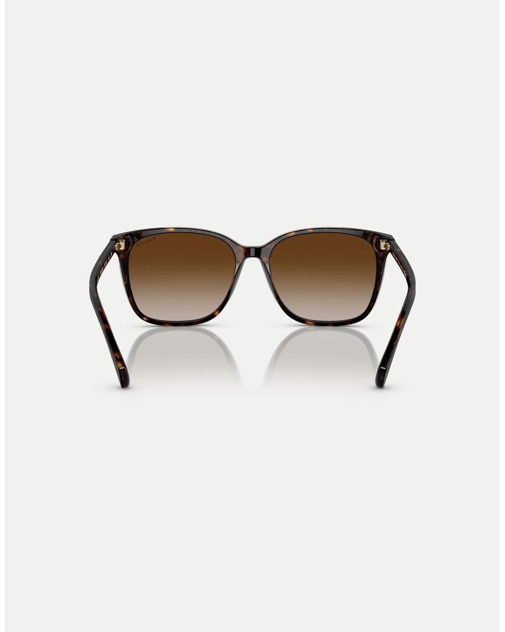 Ralph Brown Vvcv Square Sunglasses