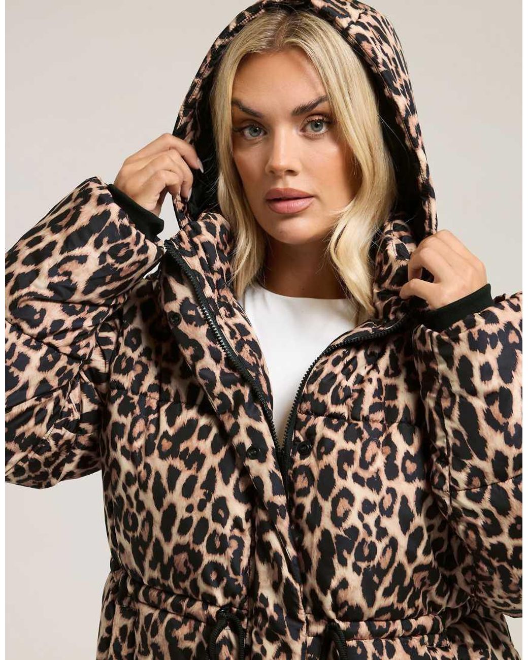 Yours Clothing Brown Leopard Short Padded Coat