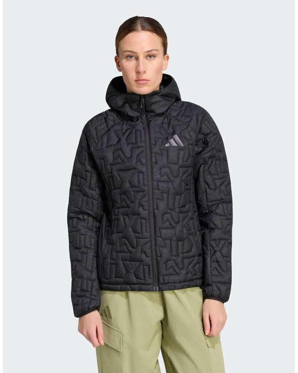 Adidas Originals Gray Terrex Xperior Primaloft Loose Fill Insulated Hooded Jacket