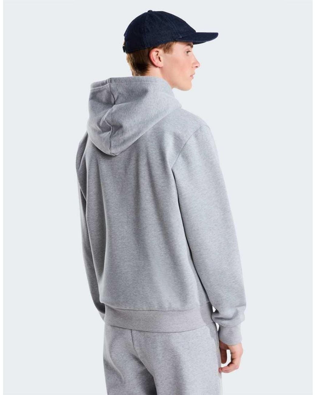 The North Face Gray Evolution Simple Dome Regular Full Zip for men