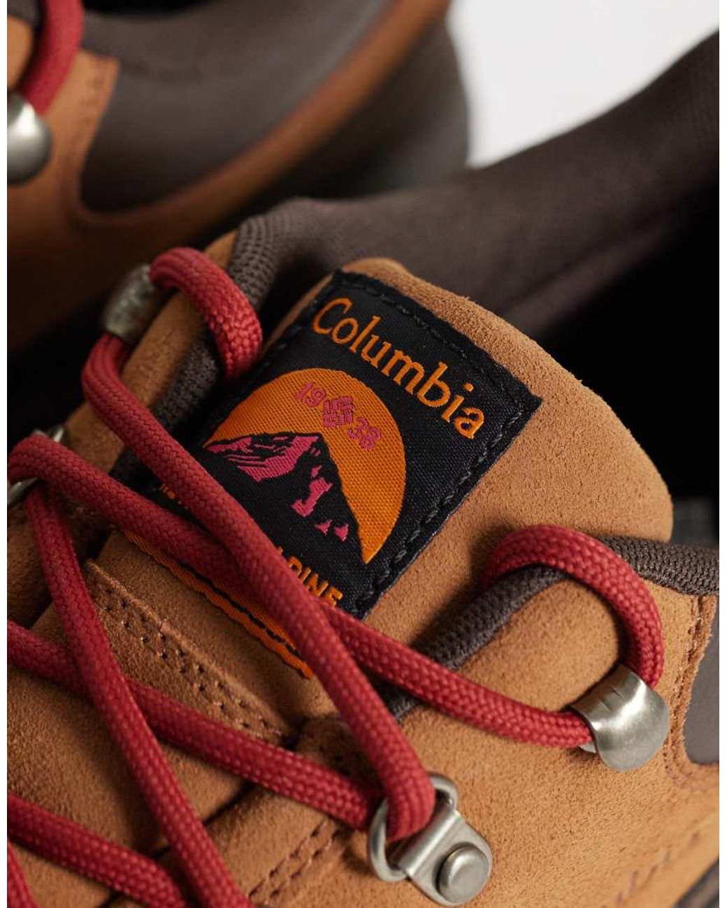 Columbia Brown Newton Alpine Low Trainers for men