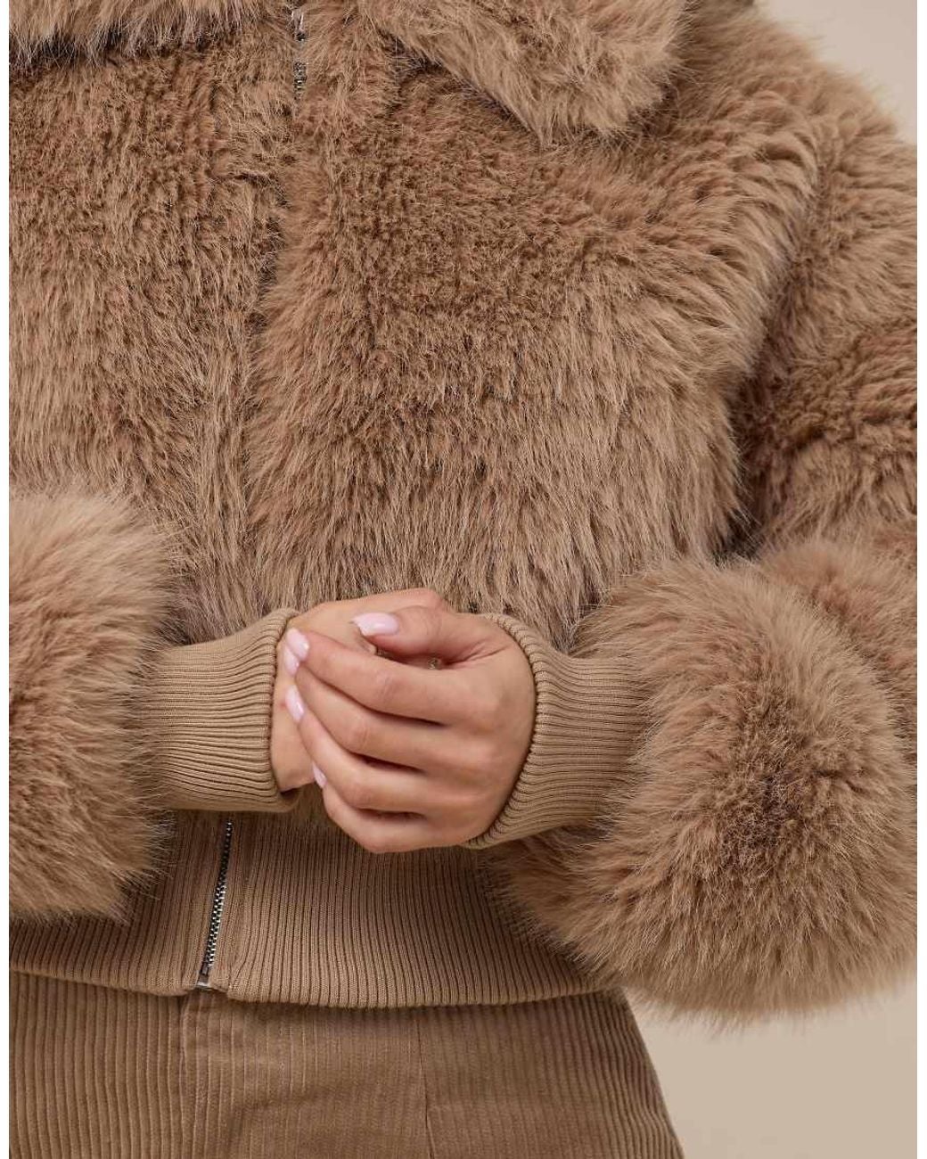 Wanderdoll Brown Tatiana Faux Fur Oversized Collar Zip Through Fitted Waist Jacket