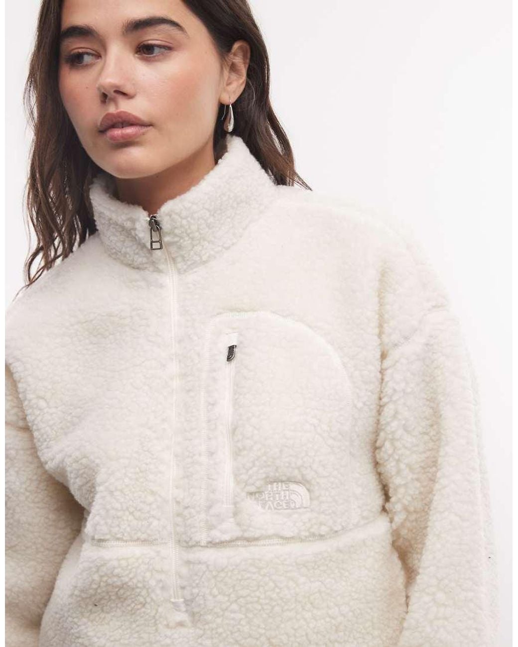 The North Face Natural Extreme Pile 1/2 Zip Fleece