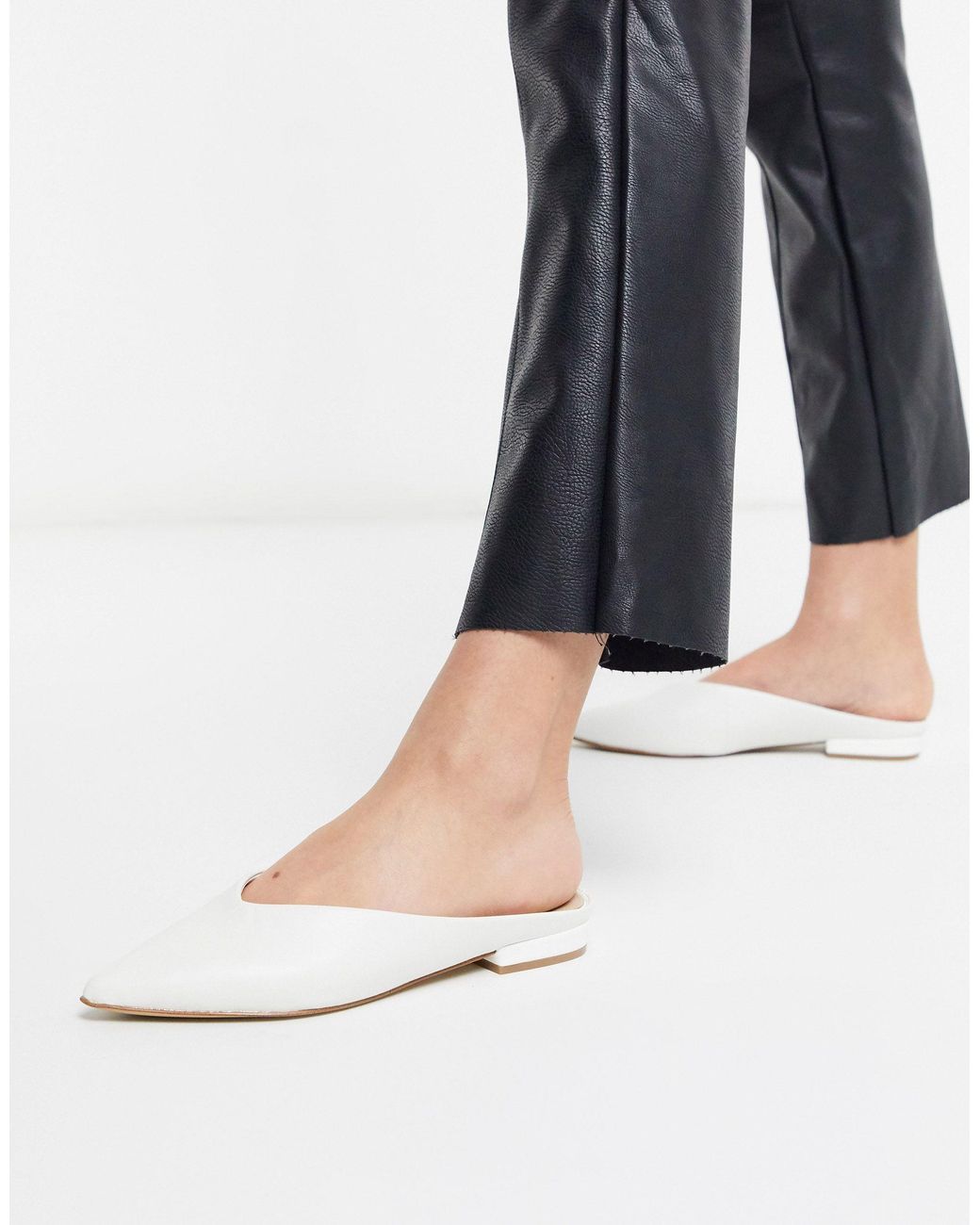 aldo nirasa mule