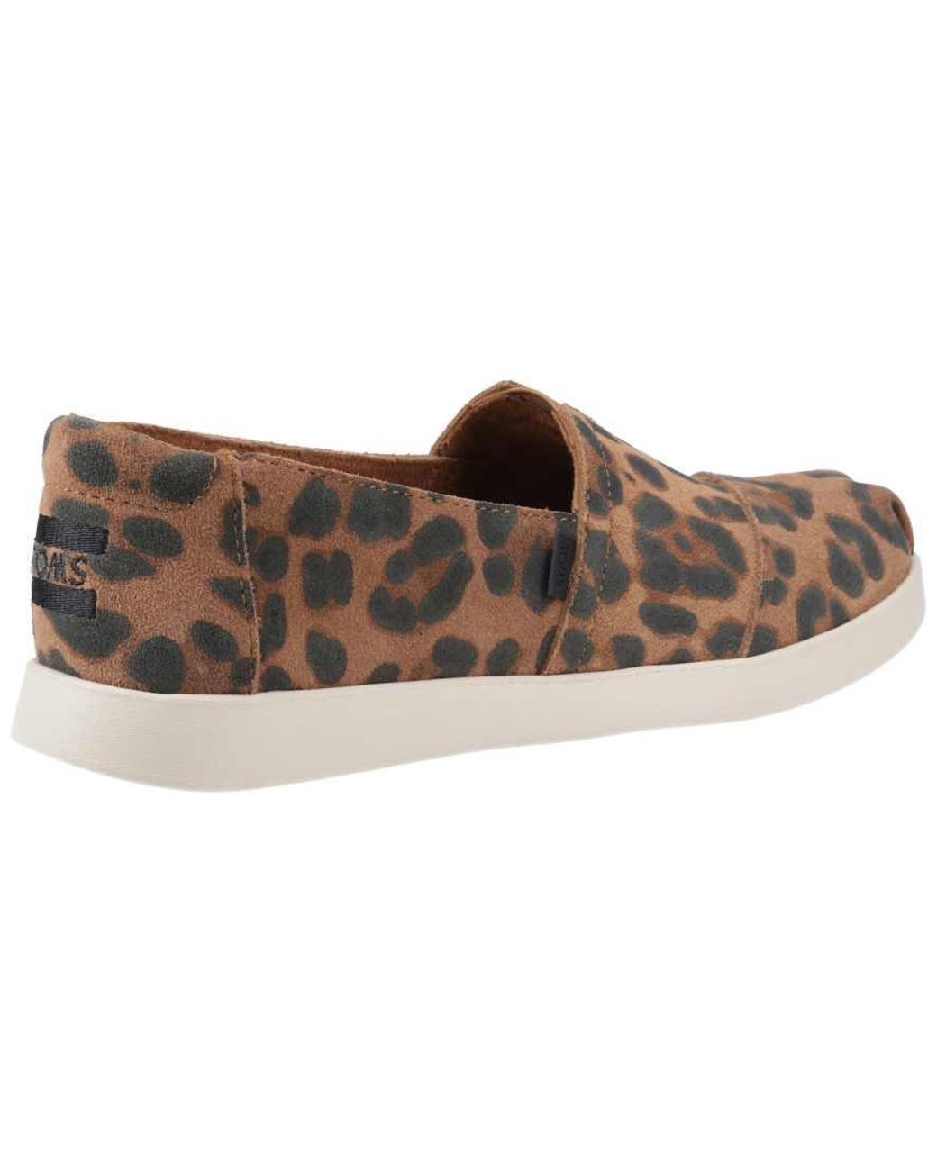 TOMS Brown Alpargata Plus