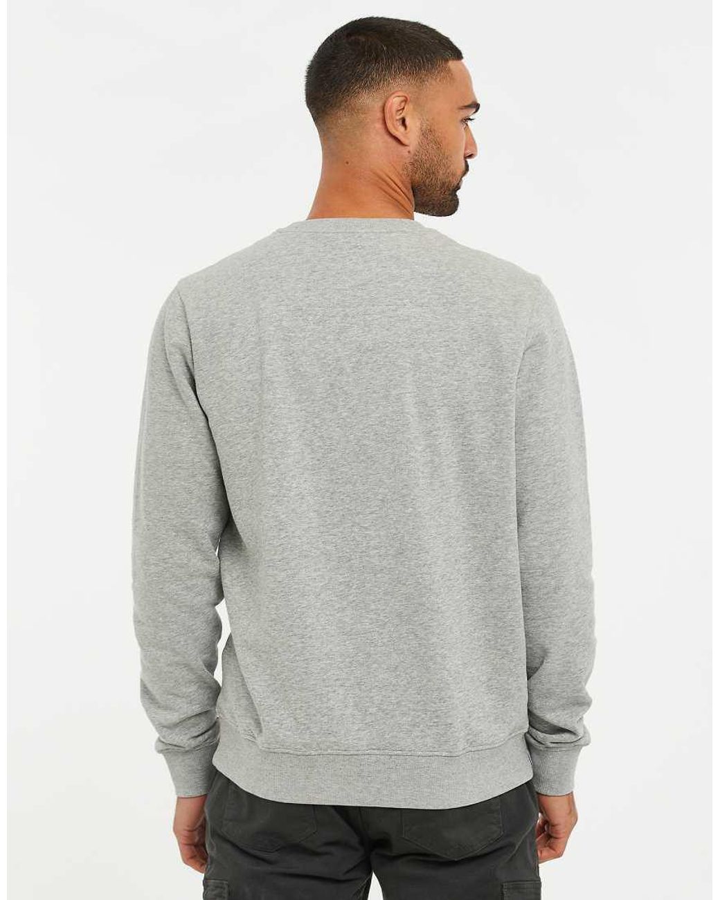 Threadbare Gray Cotton Blend Crew Neck Sweatshirt for men