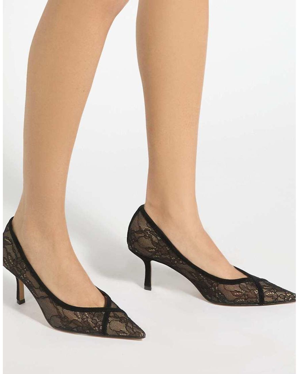 Dune Brown Ascend Court Shoes