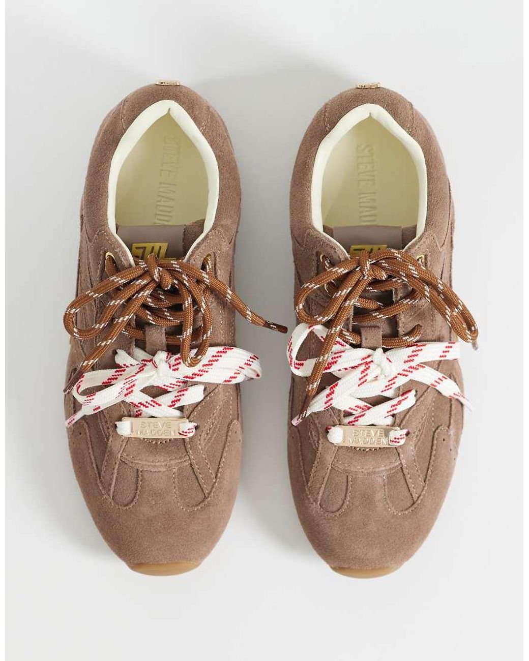Steve Madden Brown Asiel Trainers