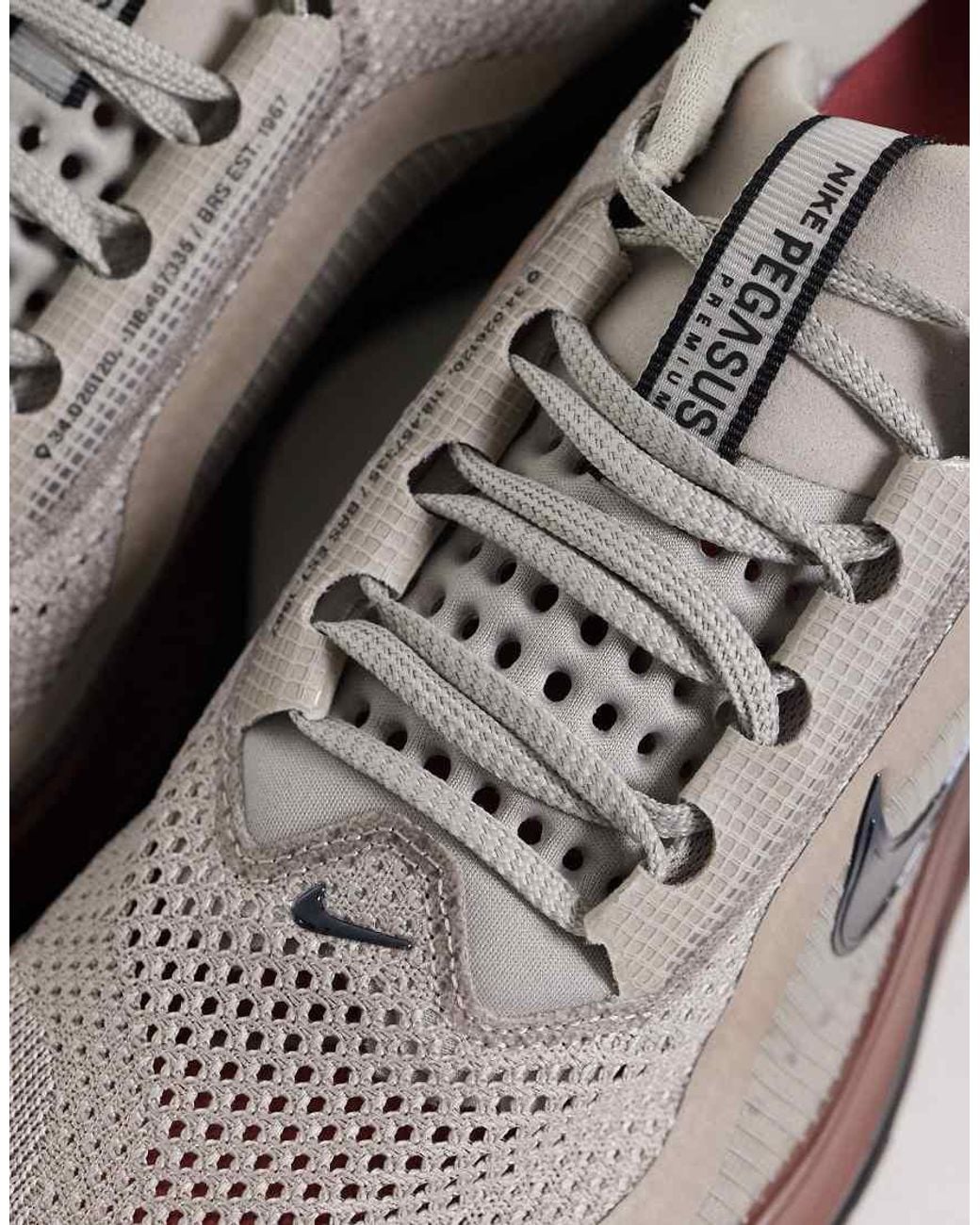 Nike Gray Pegasus Premium Trainers