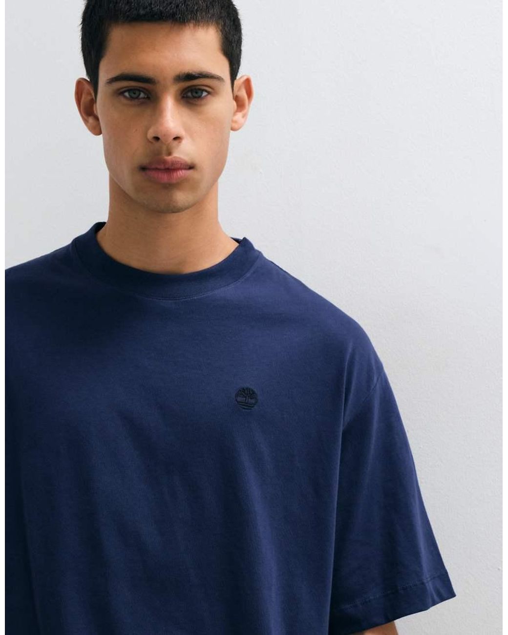 Timberland Blue Short Sleeves Tee (Relaxed) for men