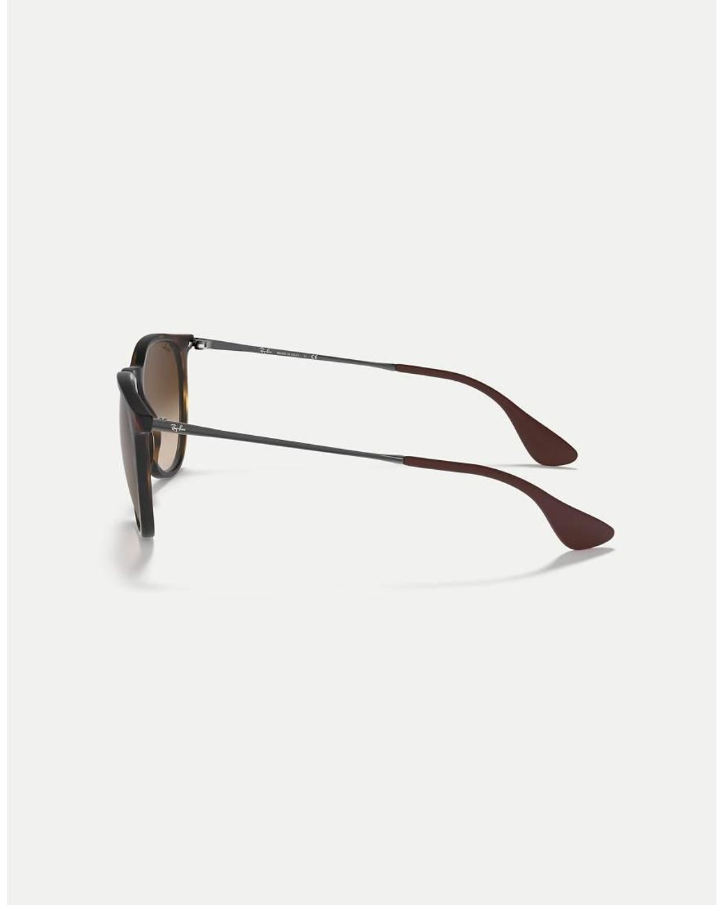 Ray-Ban Natural Erika Classic Phantos Sunglasses