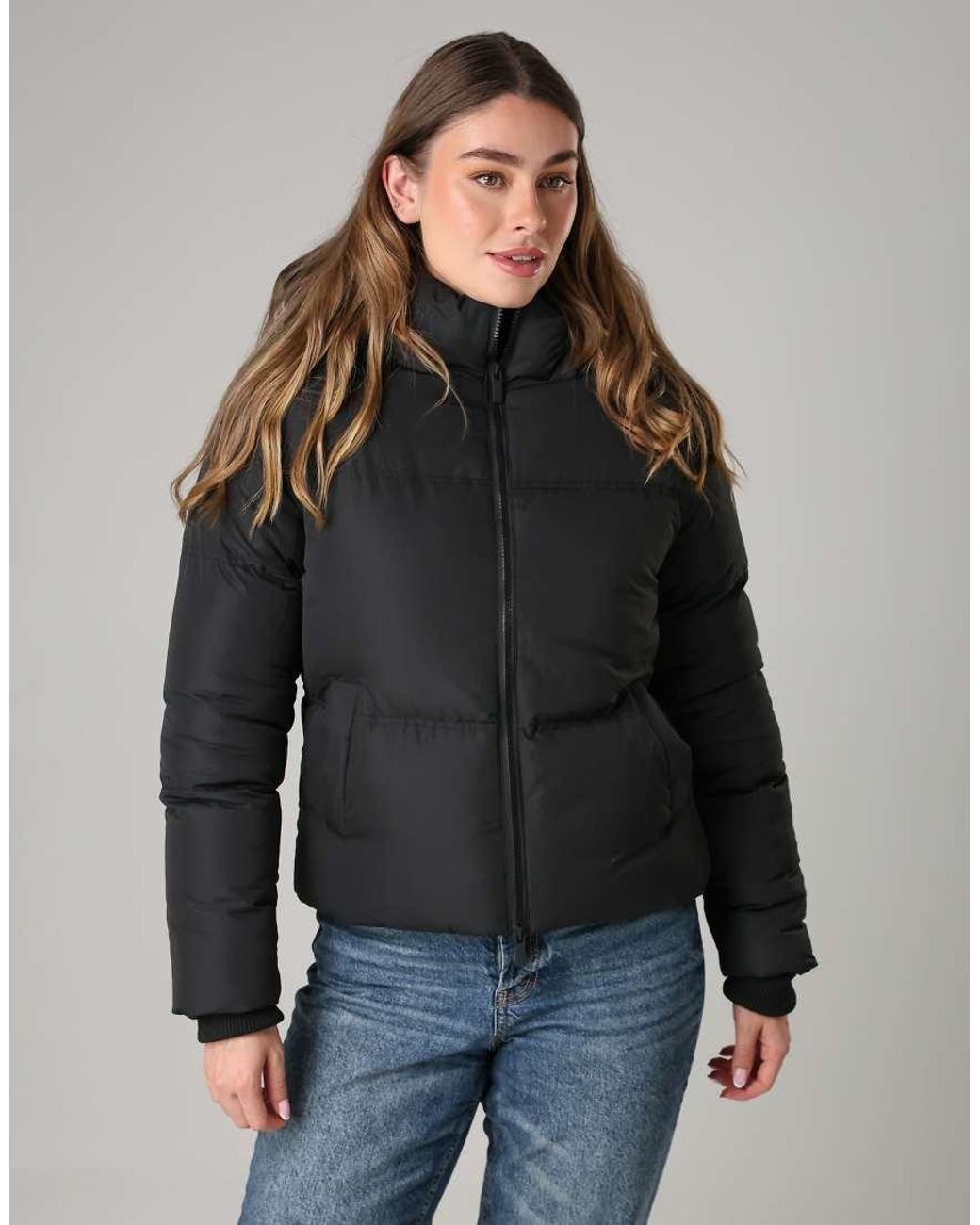 French Connection Black Short Padded Hooded Puffer Zip Jacket