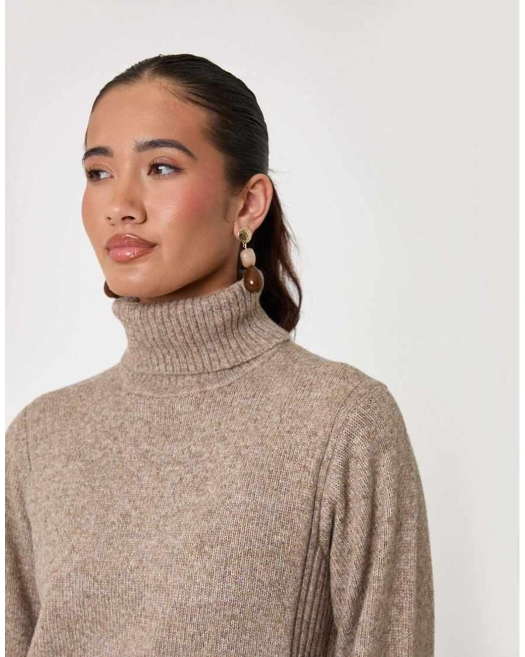 Threadbare Brown Wool Blend Roll Neck Mini Dress