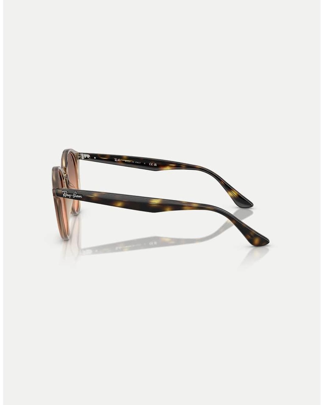 Ray-Ban White Round Sunglasses