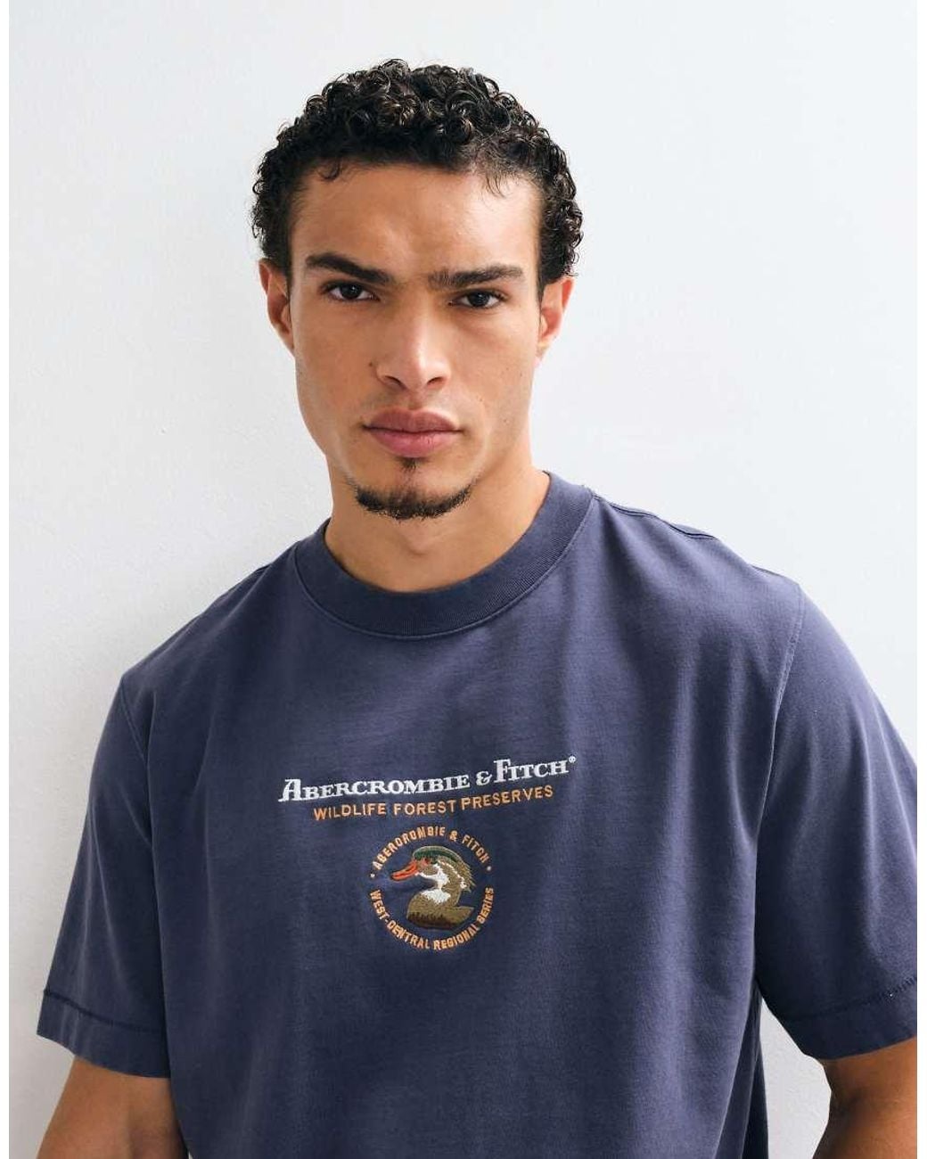 Abercrombie & Fitch Blue Premium Heavyweight Graphic T-shirt for men