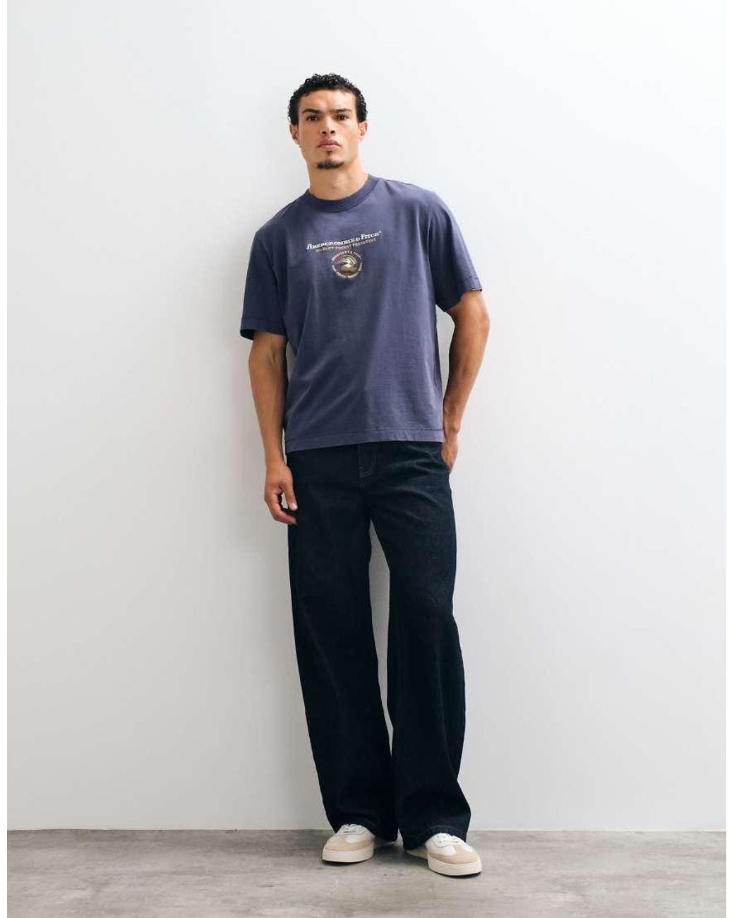 Abercrombie & Fitch Blue Premium Heavyweight Graphic T-shirt for men