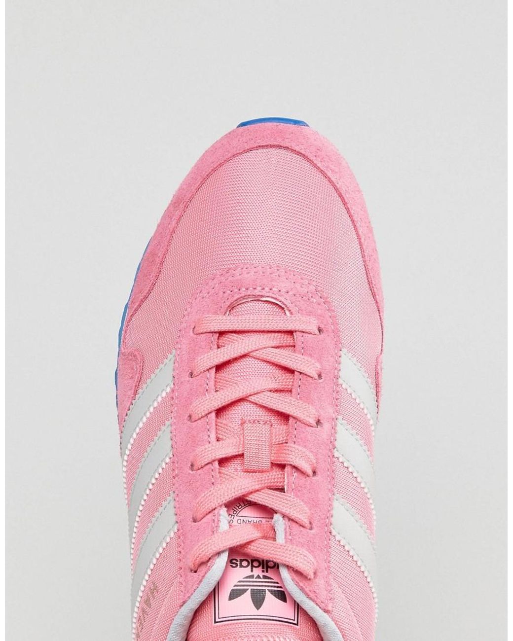 adidas Originals Haven Sneakers In Pink Bb2898 for Men | Lyst