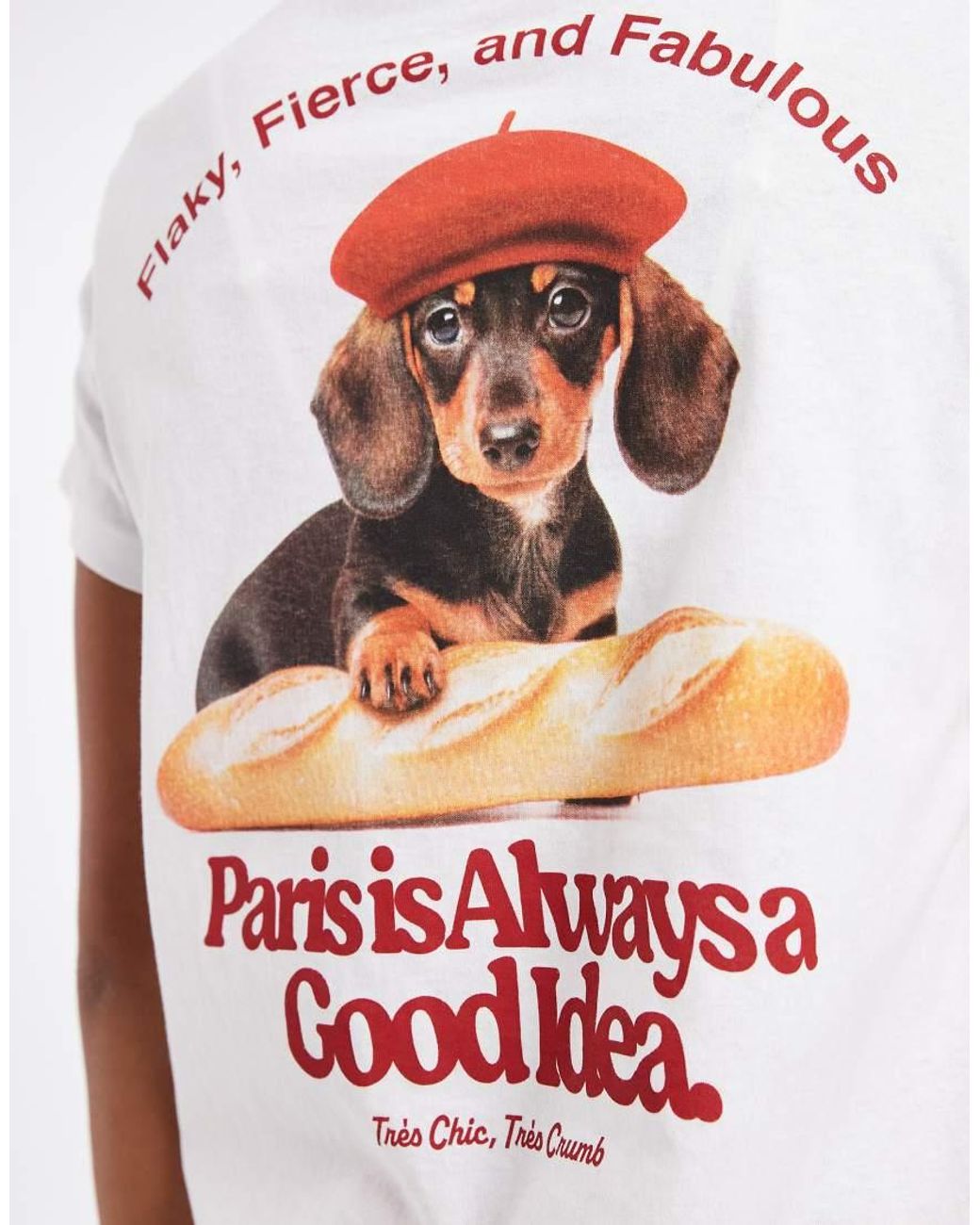 Noisy May White Regular Fit T-shirt With Dachshund Print