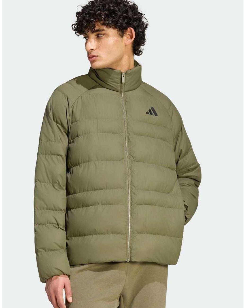 Adidas Originals Green Essentials Packable Insulated Jacket for men
