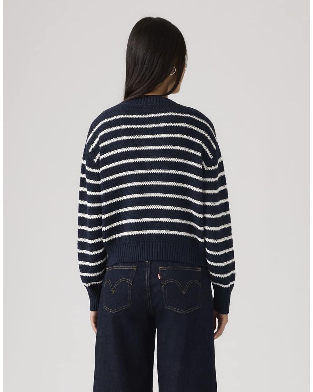 Levi's Blue Snowflake Striped Cardigan