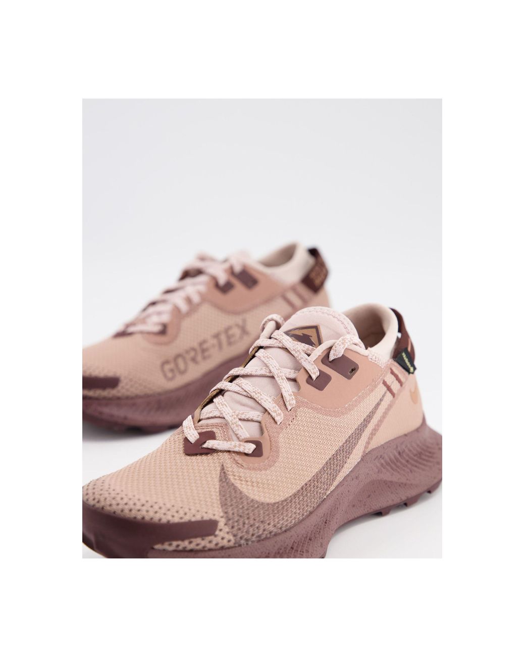 Nike Pegasus Trail Gore-tex Trainers in 