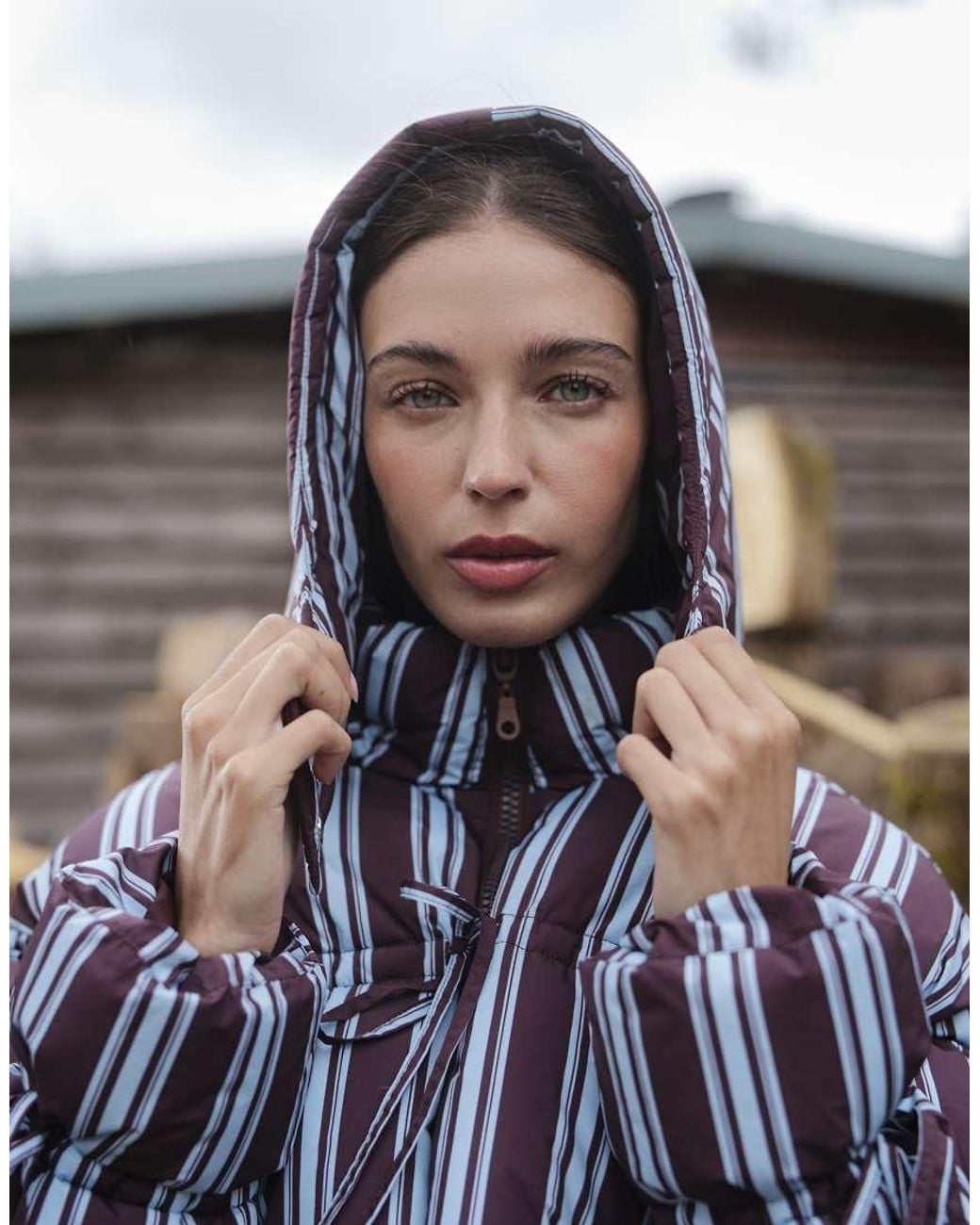 Daisy Street Multicolor Cocoa Puffa Coat