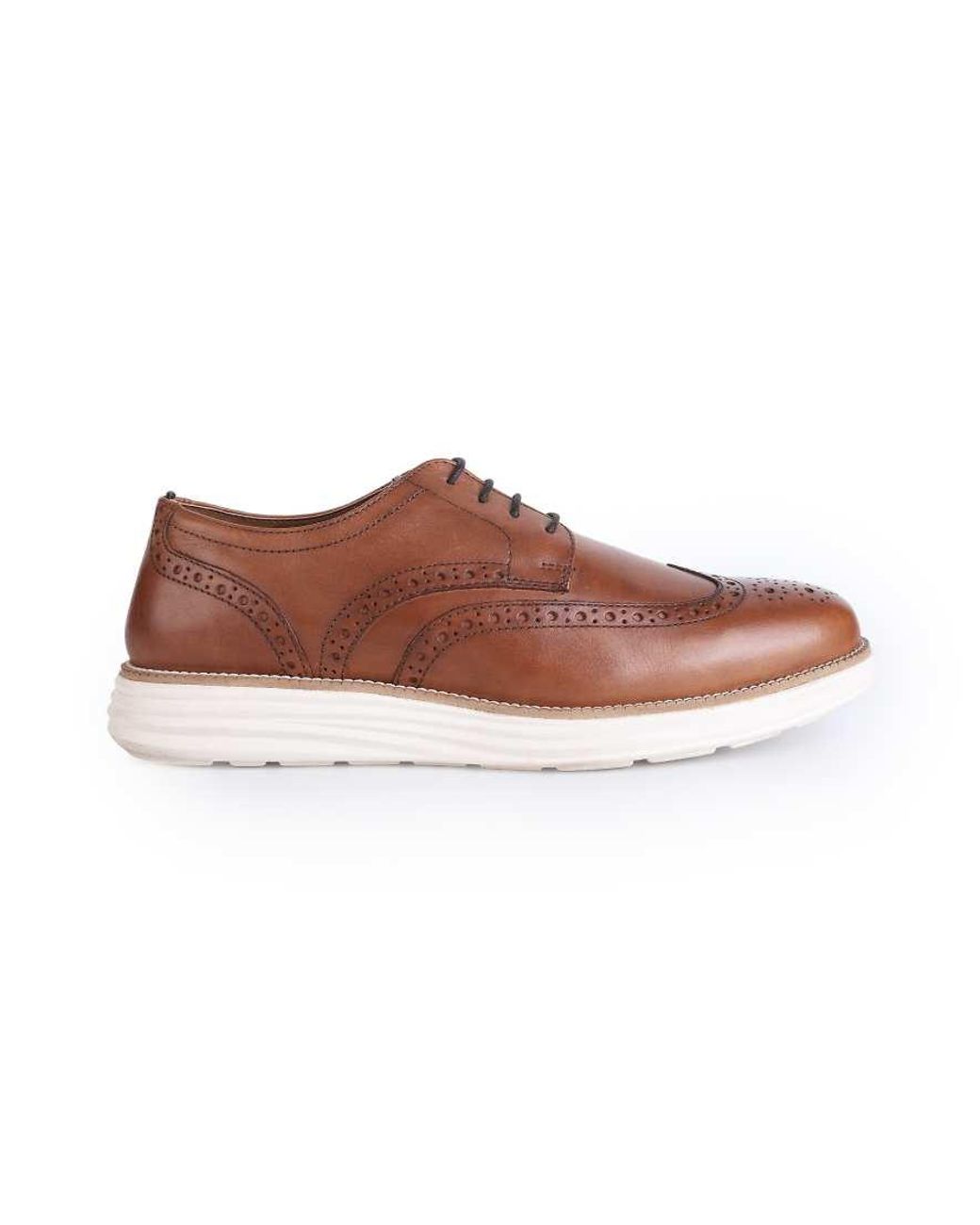 Thomas Crick Brown 'Harrington' Derby Brogue Casual Leather Lace Up Shoe for men