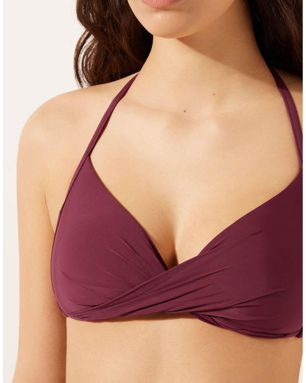 Calzedonia Purple Indonesia