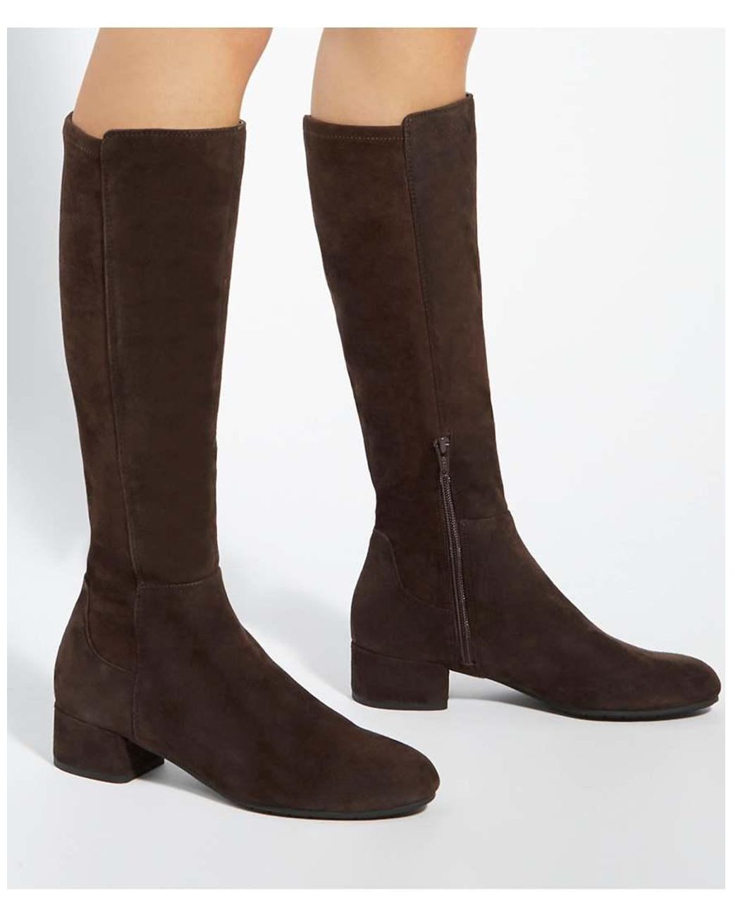 Dune Brown Tayla Suede Boots