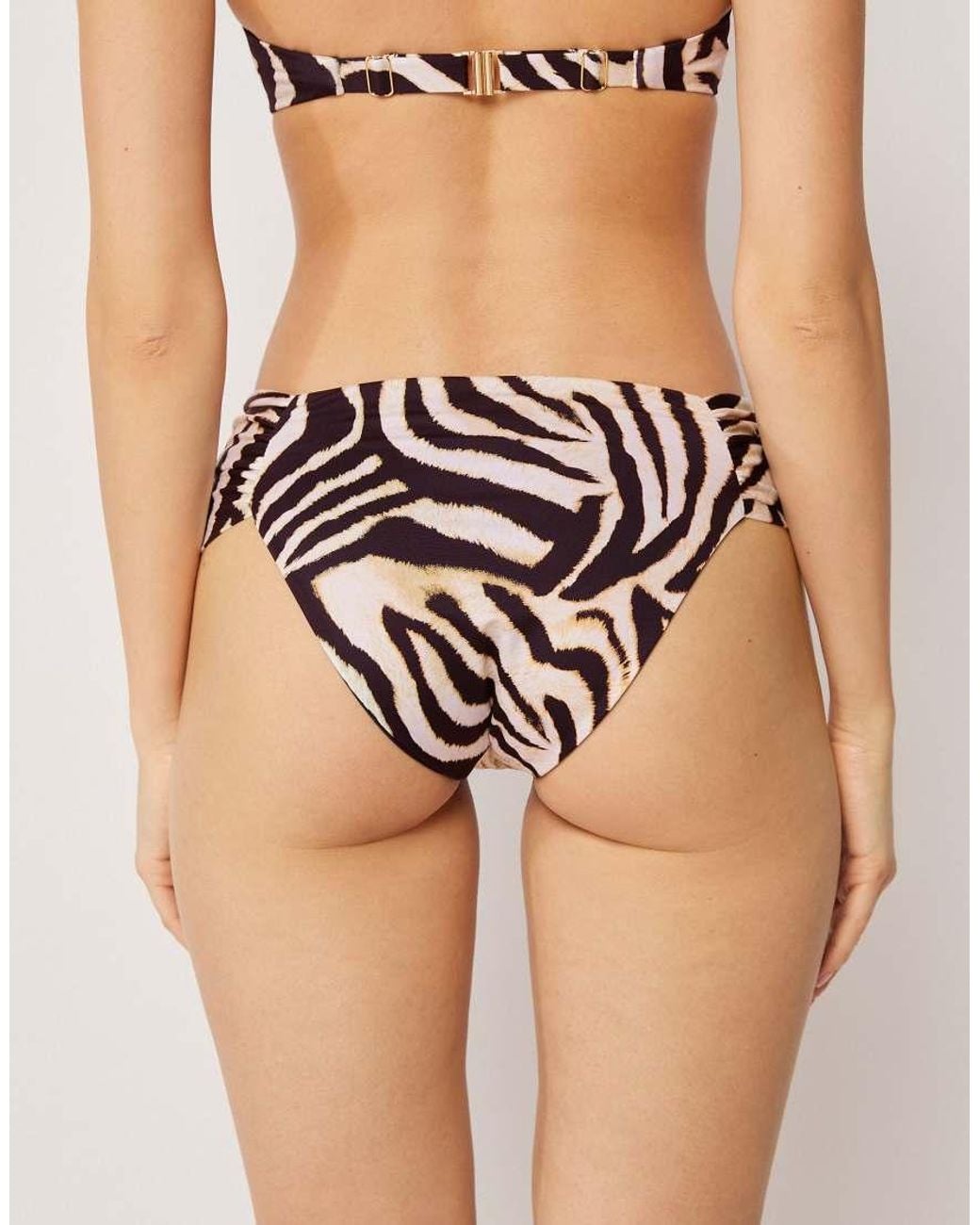 Calzedonia Black Bikini Bottoms Savannah Zebra