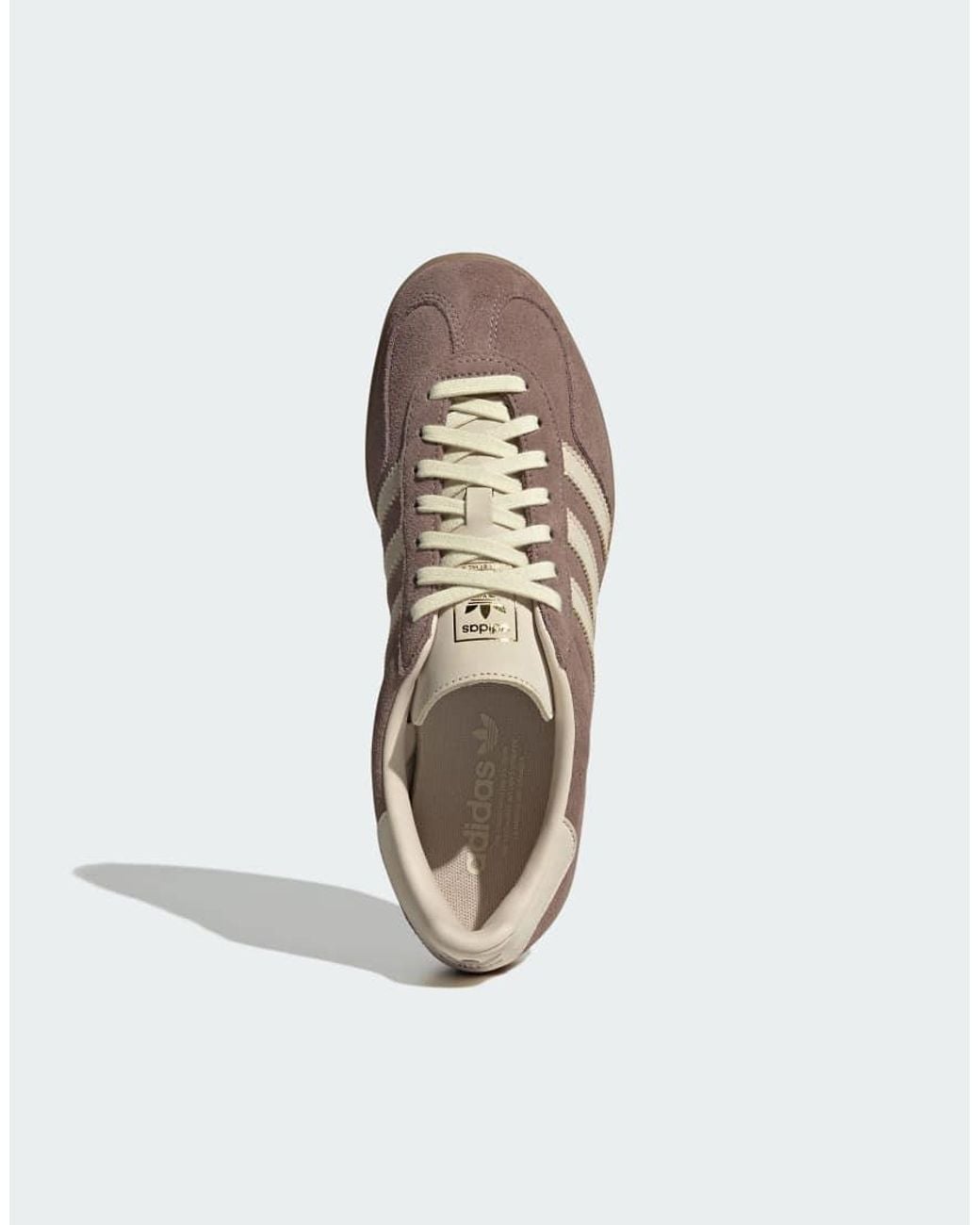 Adidas Originals Brown Gazelle Indoor Trainers for men