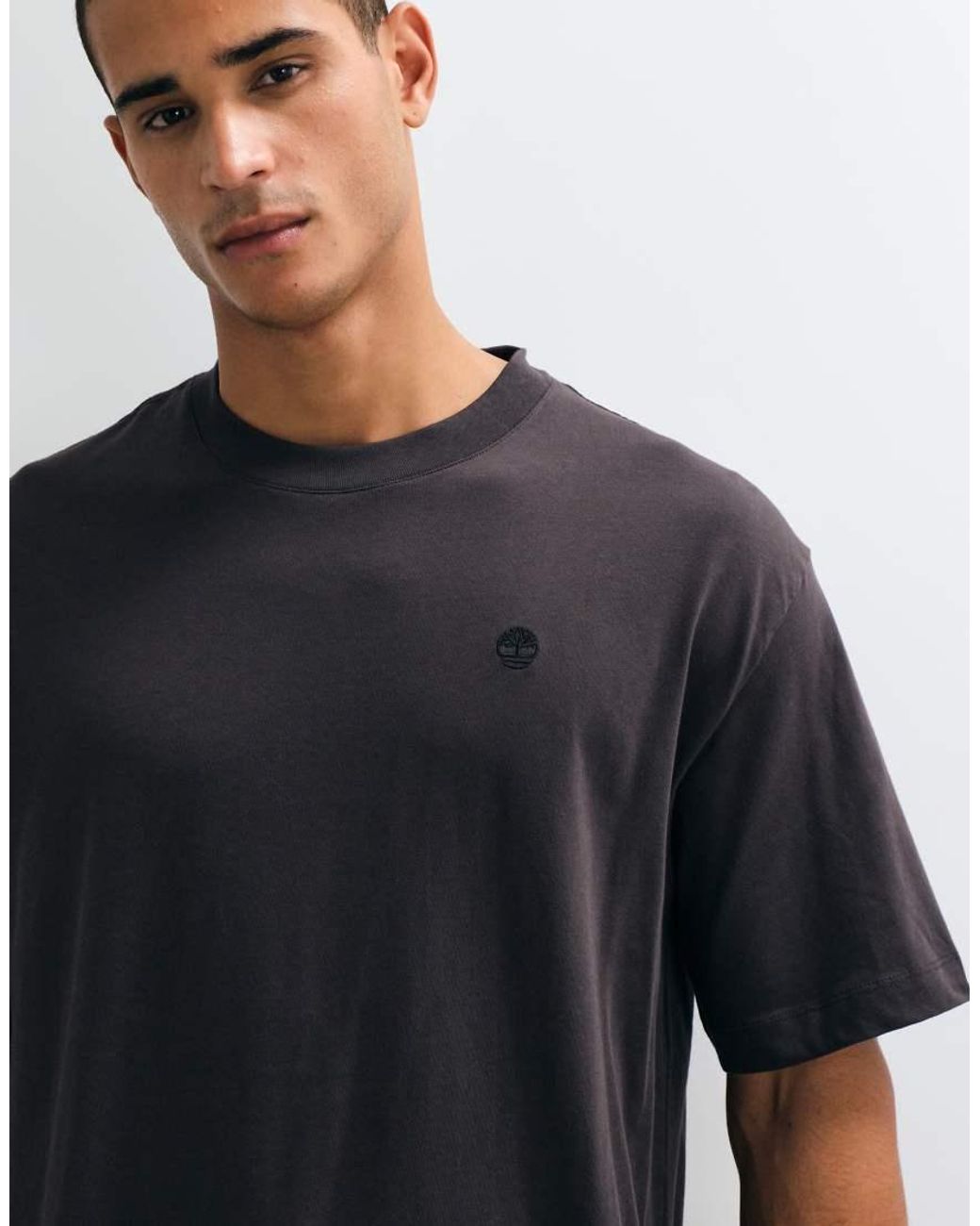 Timberland Blue Short Sleeves Tee (Relaxed) for men