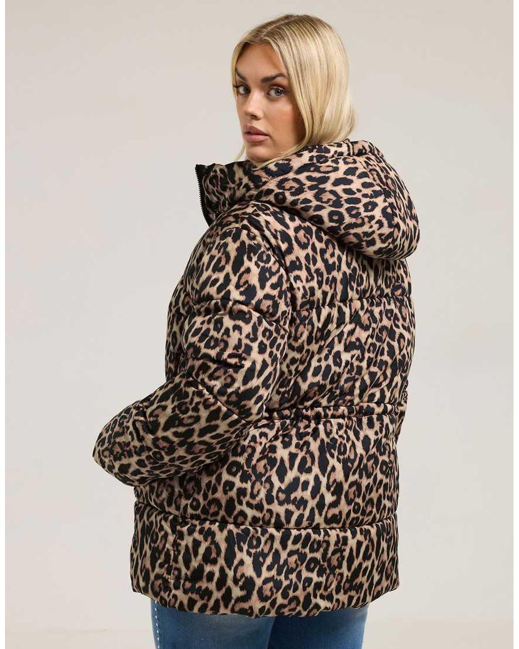 Yours Clothing Brown Leopard Short Padded Coat