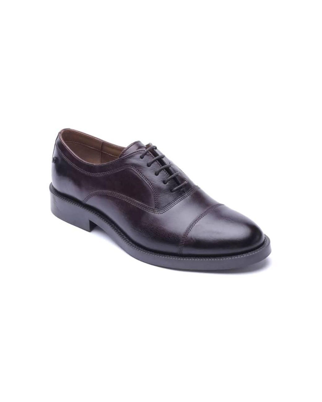 Base London Blue Roma Toe Cap Shoe for men