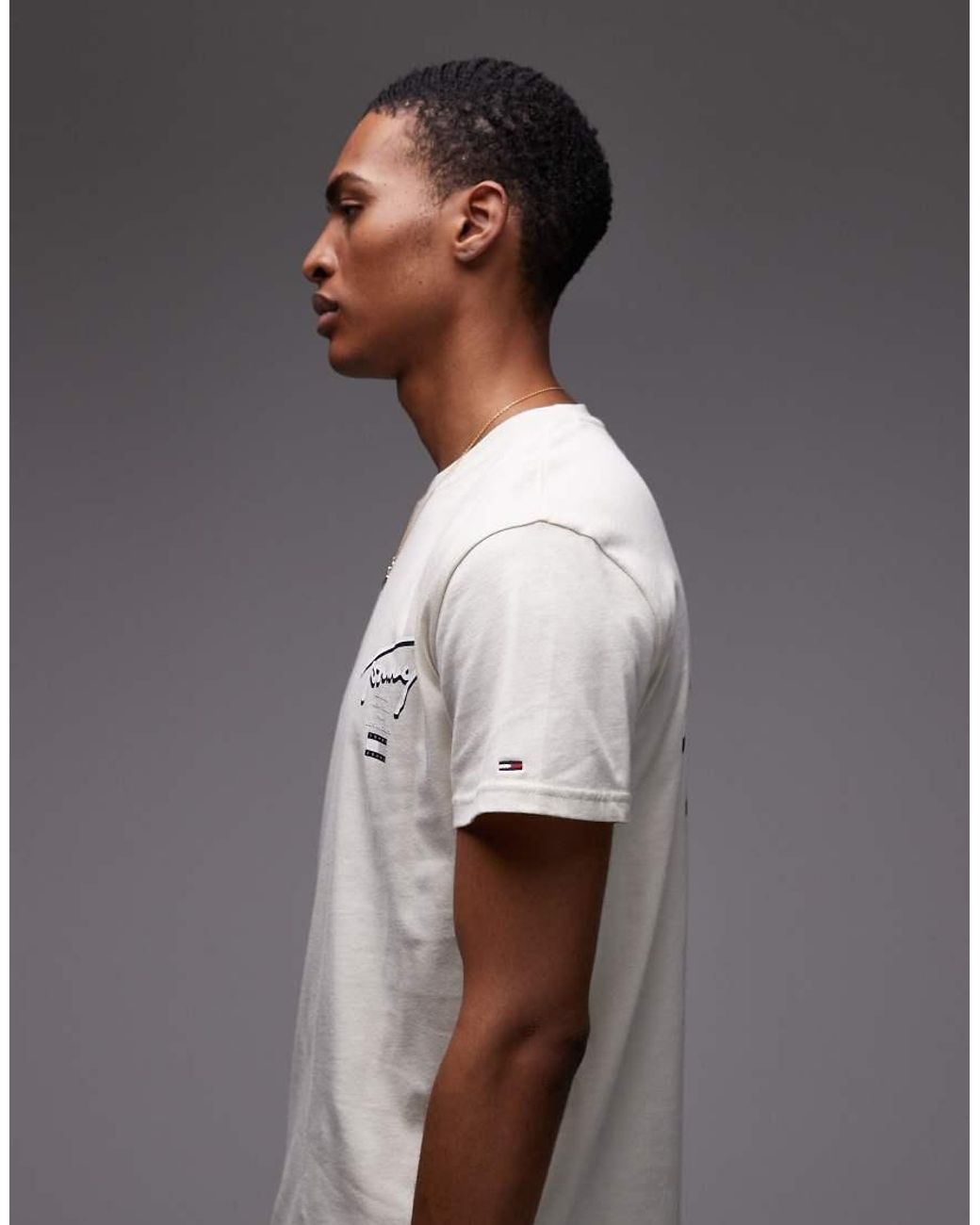 Tommy Hilfiger Gray Signature Back Print T-shirt for men