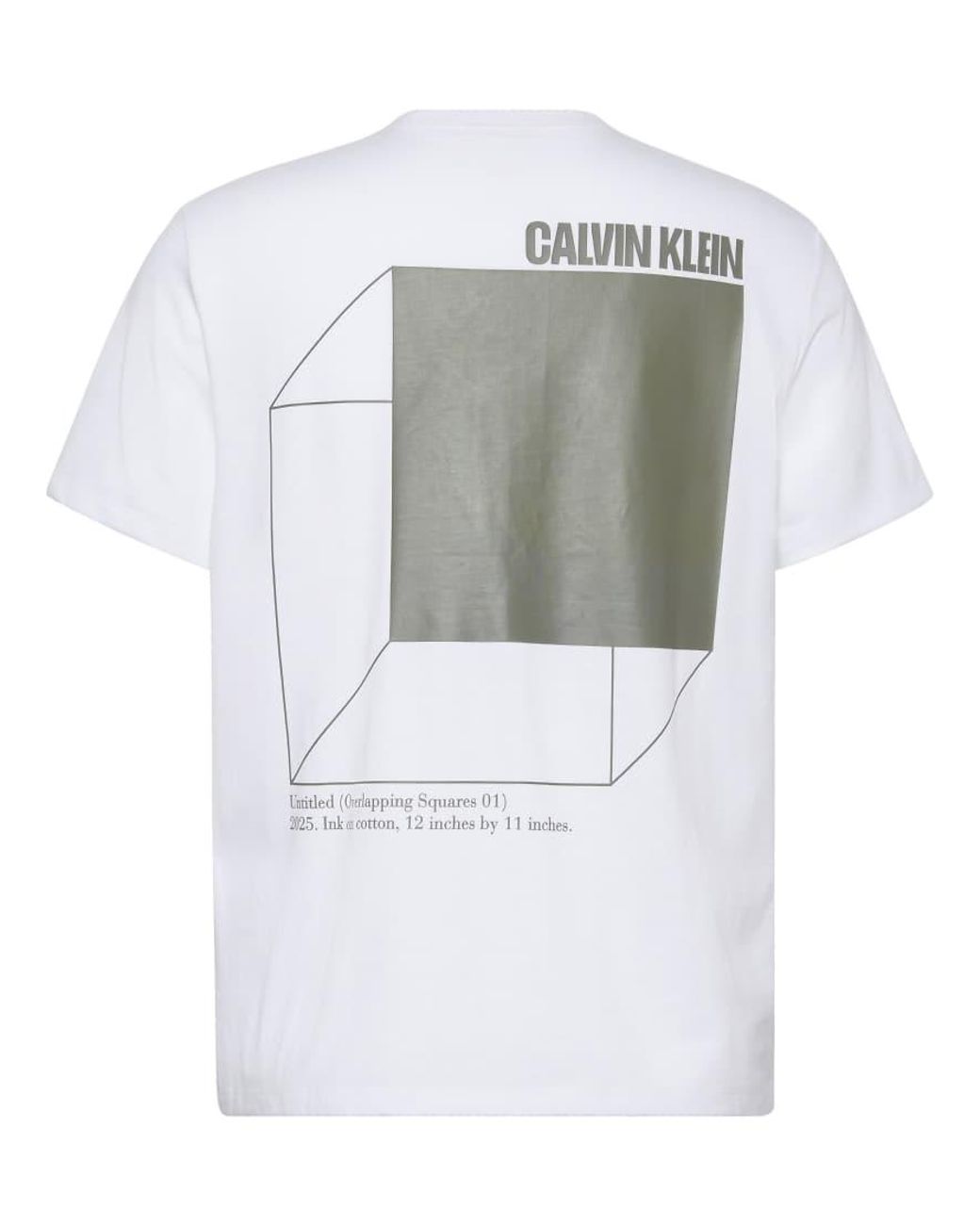 Calvin Klein Natural 3d Box Back Print T-shirt for men