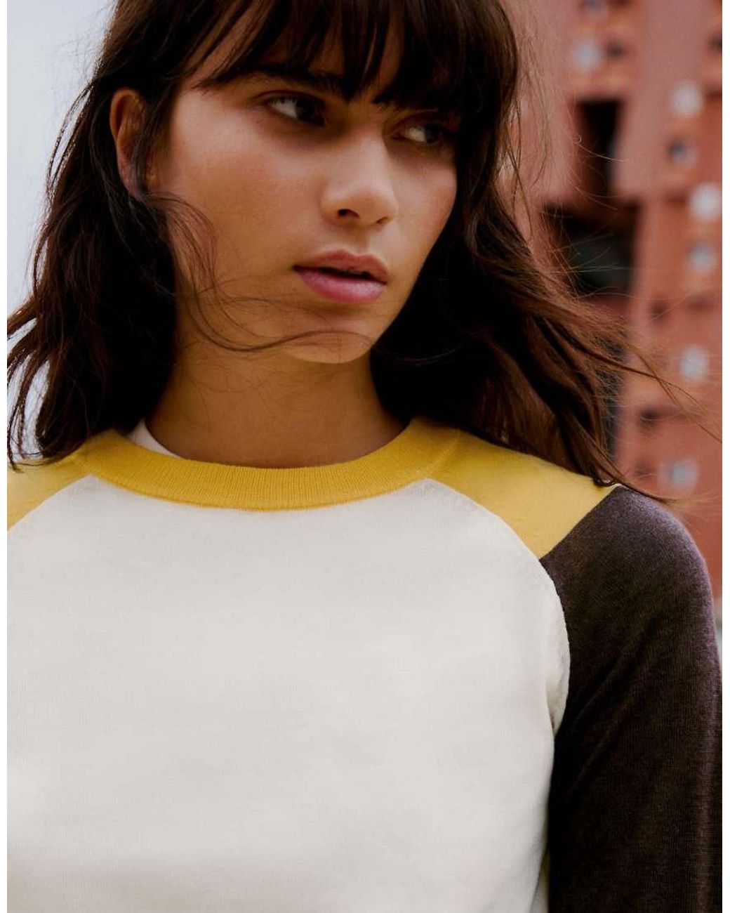 Bershka Brown Round Neck Raglan Jumper