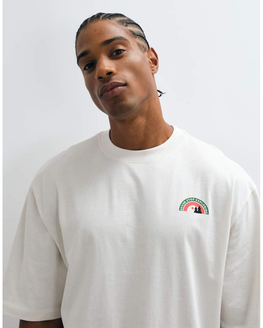The North Face Gray Rounded Tree Logo T-shirt for men