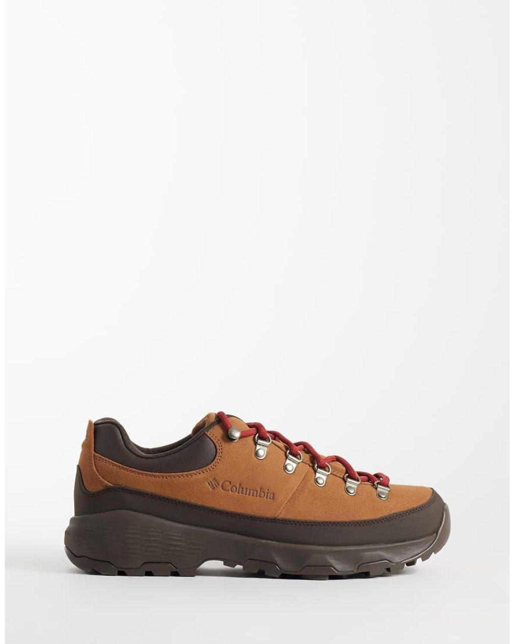 Columbia Brown Newton Alpine Low Trainers for men