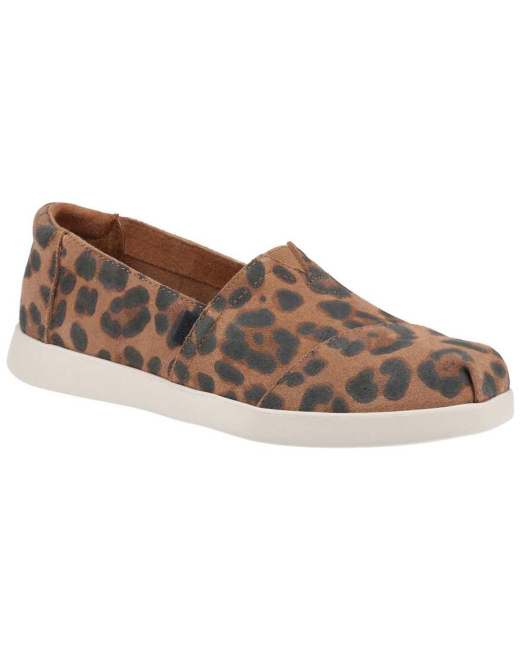 TOMS Brown Alpargata Plus