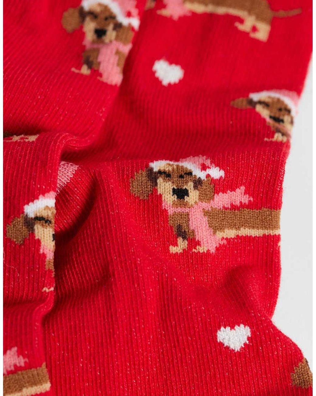 Accessorize Red Christmas Dog Socks