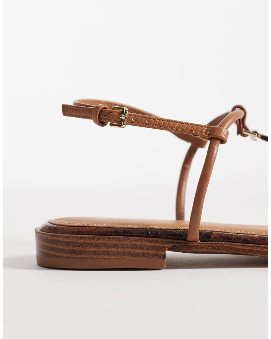 ALDO Brown Ebaeryn Flat Sandal