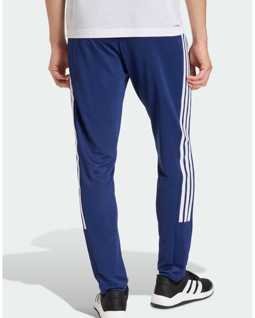 Adidas Originals Workout Essentials in het Blue voor heren