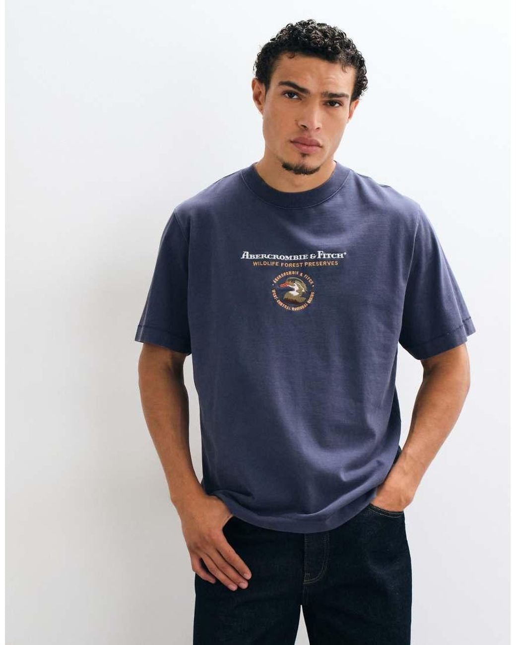 Abercrombie & Fitch Blue Premium Heavyweight Graphic T-shirt for men