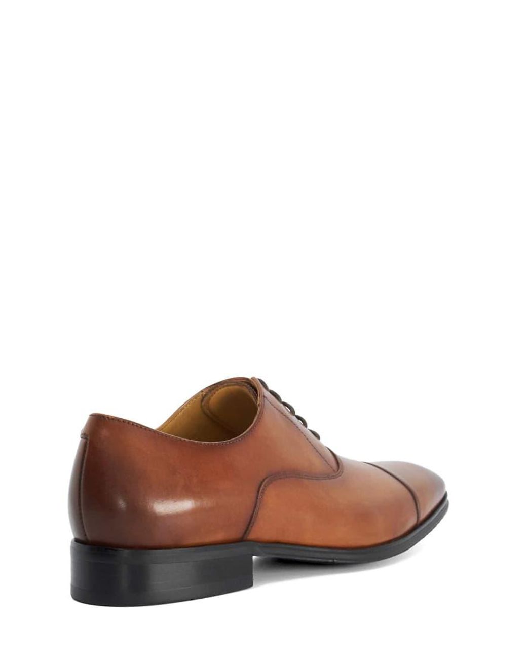 Dune Brown Solver Oxford Shoes for men