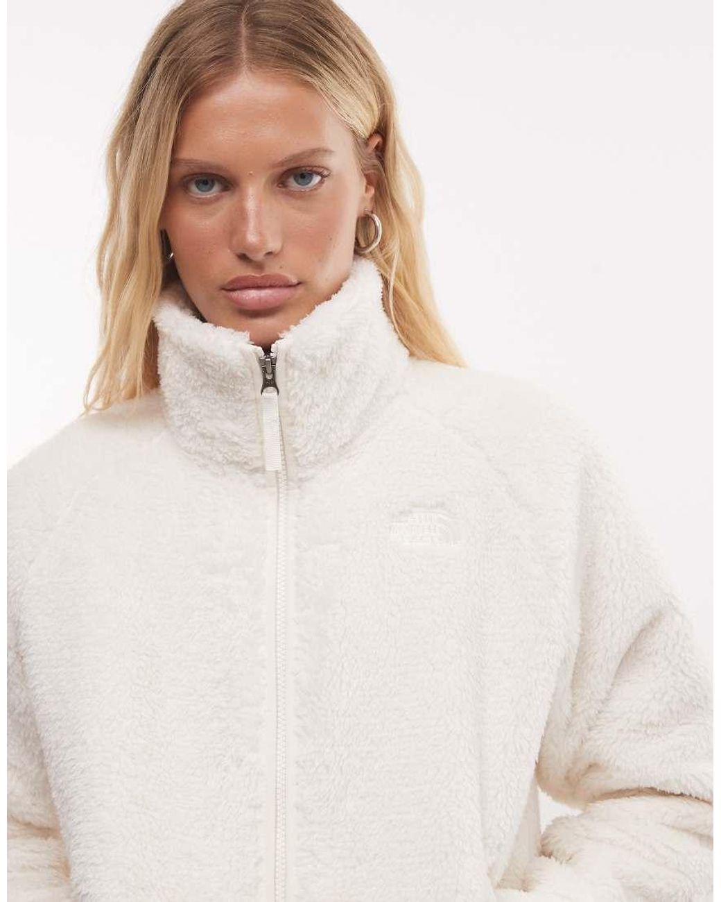 The North Face Natural Osito Evolve Full Zip Jacket