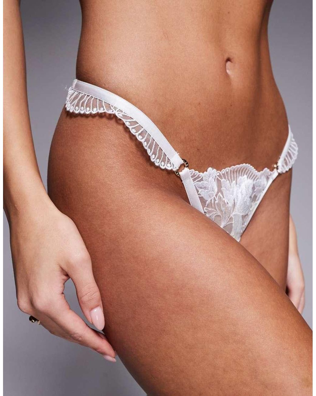 Bluebella Gray Gabriella Floral Embroidered Thong